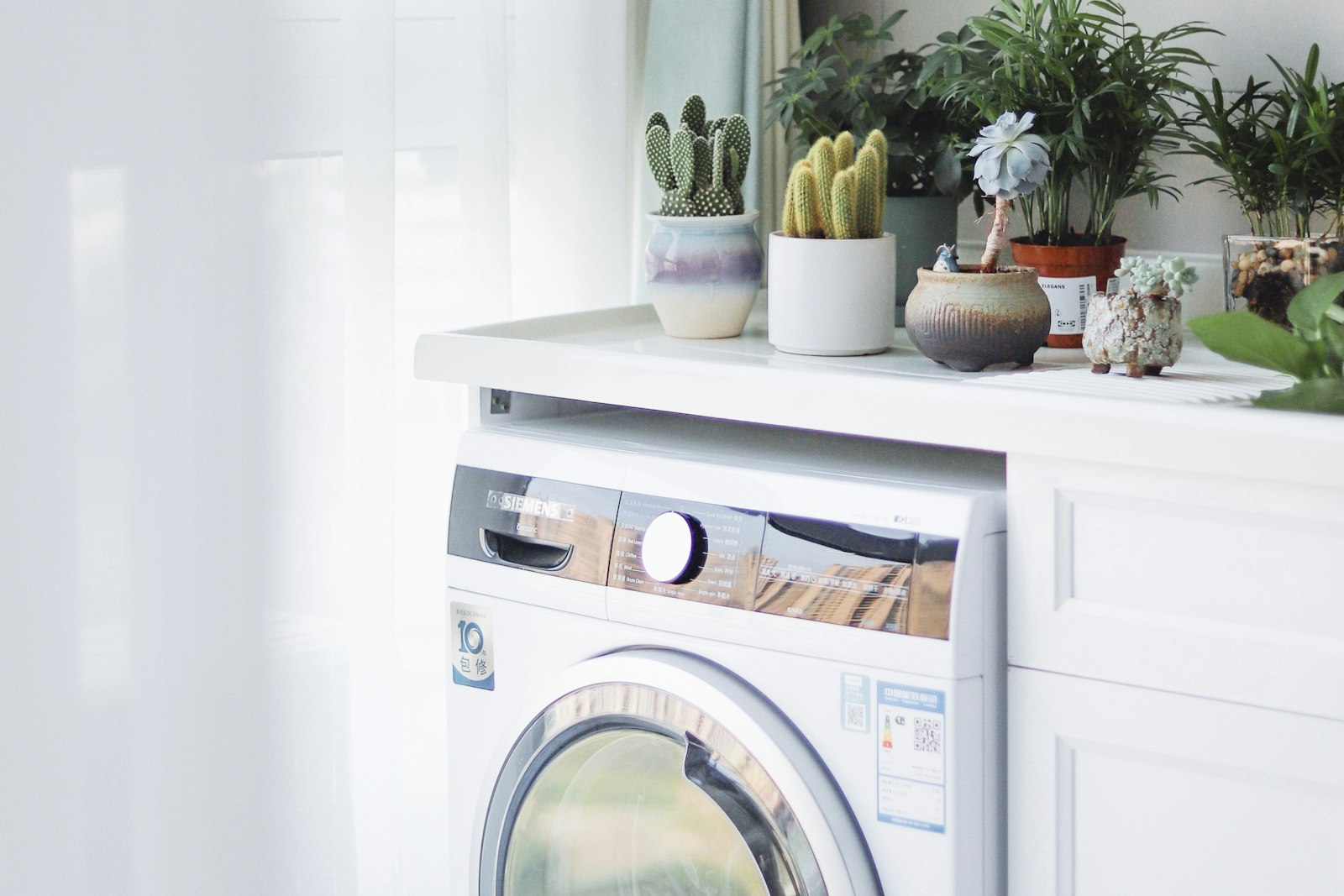 Front-loading washing machine beneath a counter with potted plants