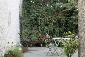 YouGarden Discount Code: Plants, Pots & Patio Savings