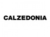 Calzedonia CZ