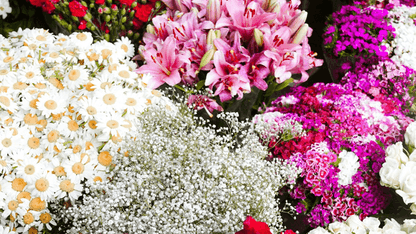 Appleyard Flowers