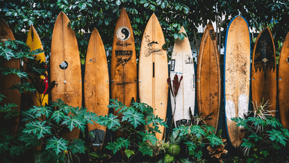 Magicseaweed