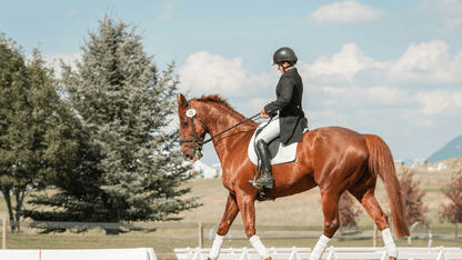 GS Equestrian & Country
