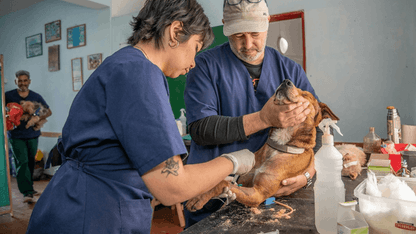 Bob Martin VetCare