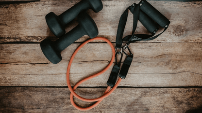 Best Gym Equipment