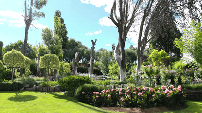 Chessington Garden Centre