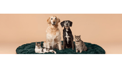 Pets at Home
