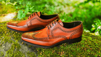 Robinson's Shoes