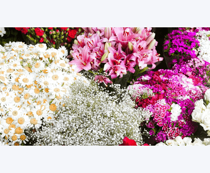Appleyard Flowers