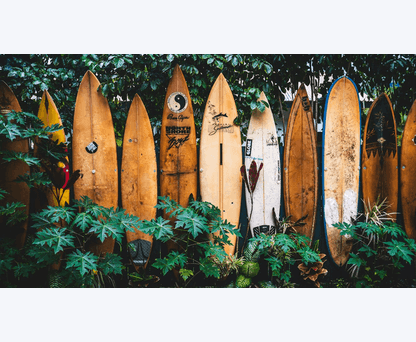 Magicseaweed