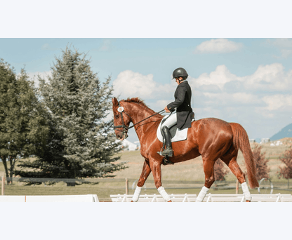 GS Equestrian & Country