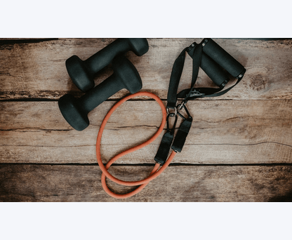 Best Gym Equipment