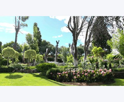 Chessington Garden Centre